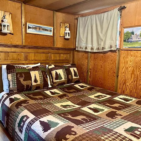 Mt Rainier Little Green Cabin On Big Creek! Ashford Buitenkant foto