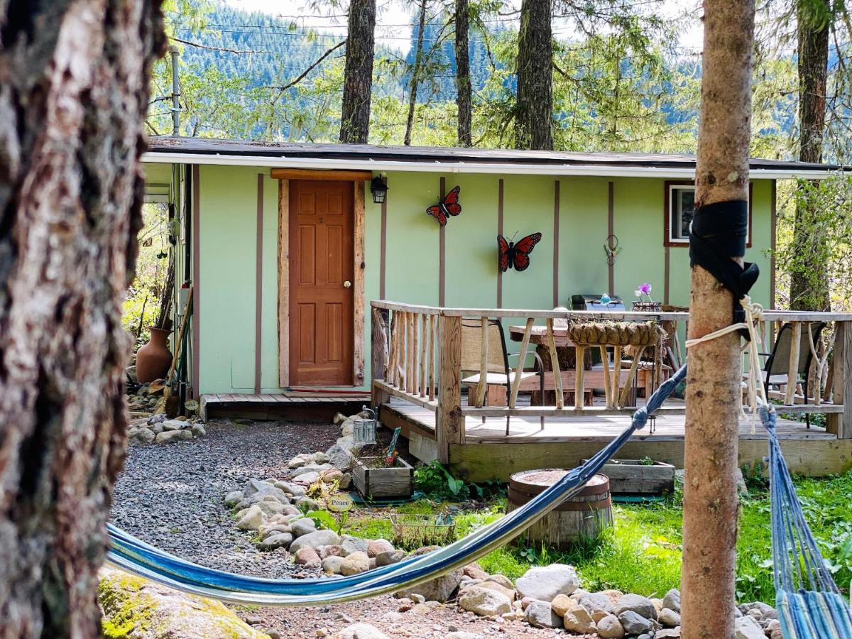 Mt Rainier Little Green Cabin On Big Creek! Ashford Buitenkant foto