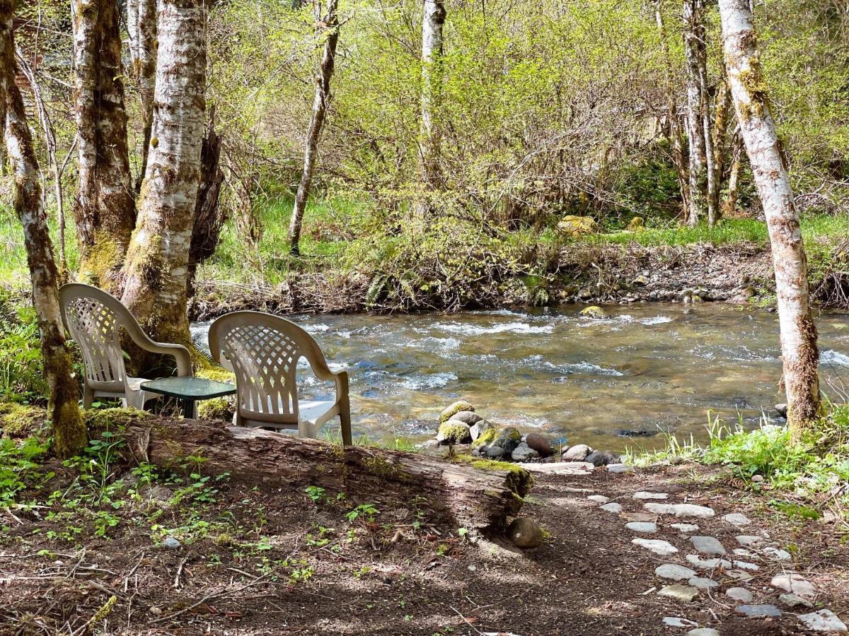 Mt Rainier Little Green Cabin On Big Creek! Ashford Buitenkant foto