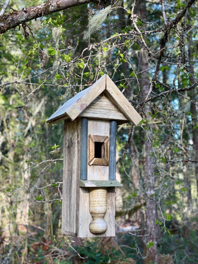 Mt Rainier Little Green Cabin On Big Creek! Ashford Buitenkant foto