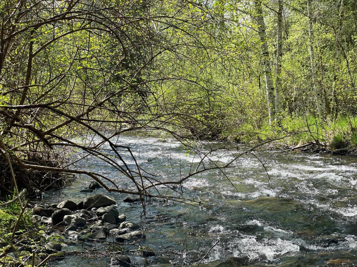 Mt Rainier Little Green Cabin On Big Creek! Ashford Buitenkant foto