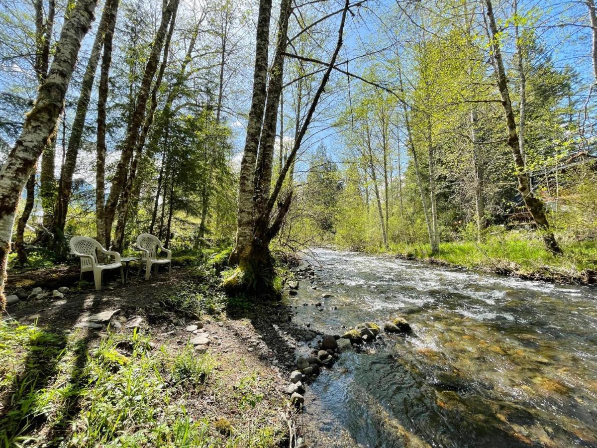 Mt Rainier Little Green Cabin On Big Creek! Ashford Buitenkant foto