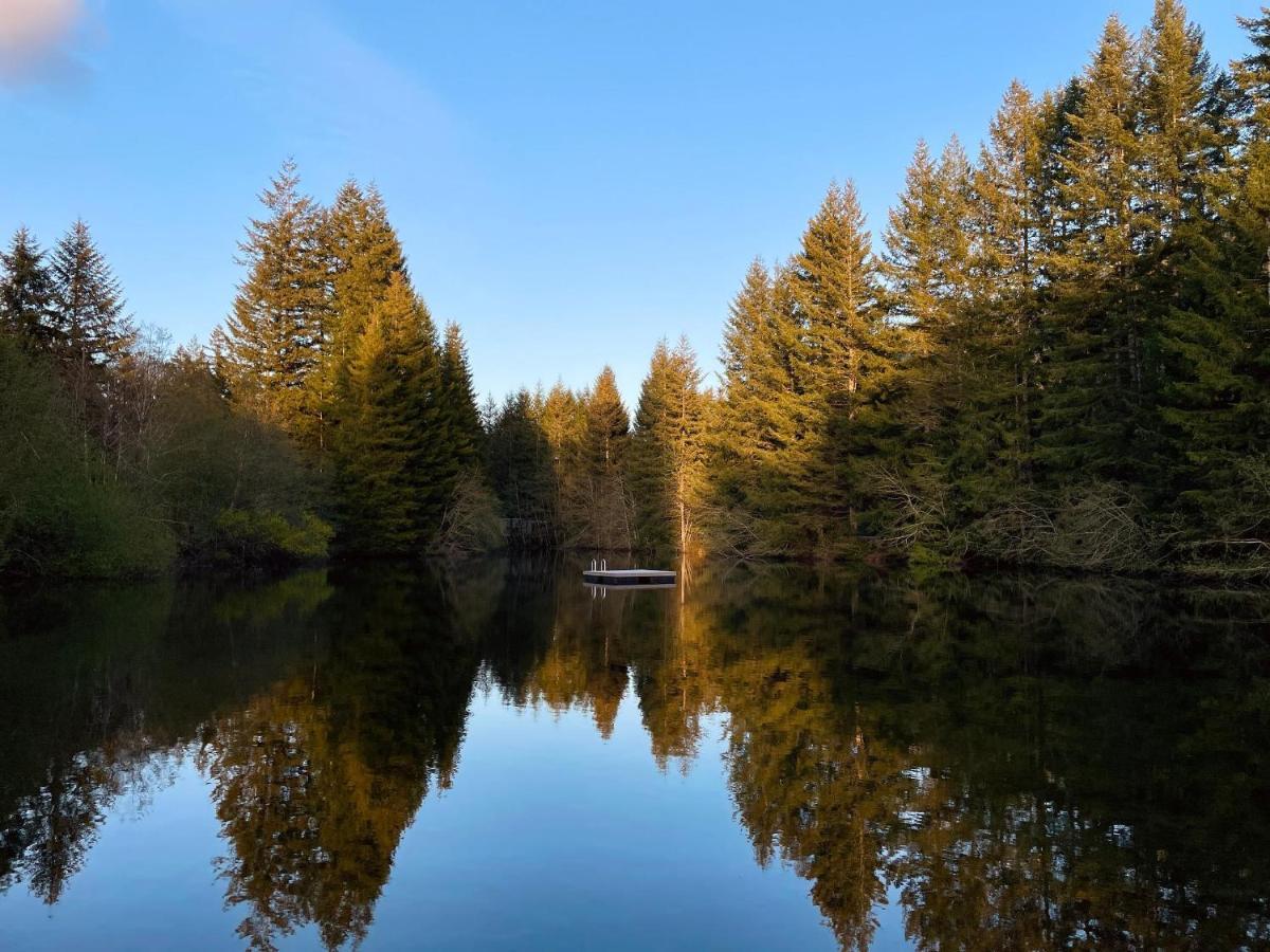 Mt Rainier Little Green Cabin On Big Creek! Ashford Buitenkant foto