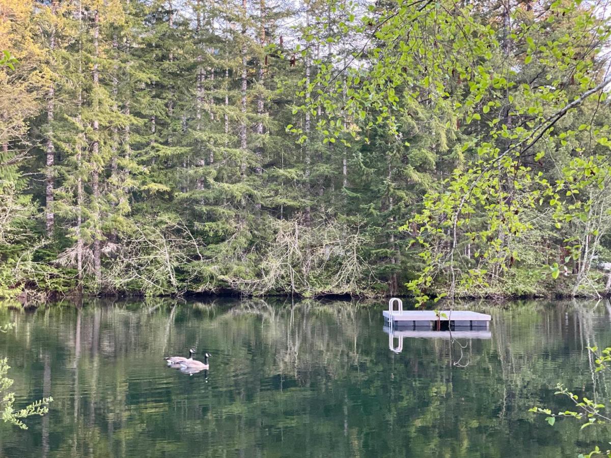 Mt Rainier Little Green Cabin On Big Creek! Ashford Buitenkant foto